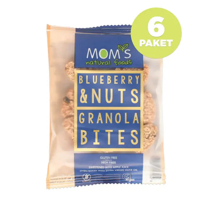 6 Pieces Gluten Free BLUEBERRY Granola BITES
